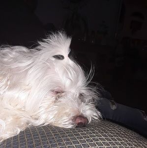 Meet your Posher, Clarissa